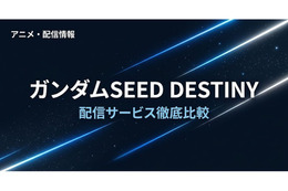 「ガンダムSEED DESTINY」の配信はどこで見れる？おすすめサブスクまとめ 画像