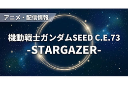 「機動戦士ガンダムSEED C.E.73 STARGAZER」の配信はどこで見れる？サブスクまとめ 画像