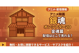 アニメ「銀魂オンシアター2D 金魂篇」の配信はどこで見れる？見放題サービス比較 画像