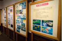 ジブリ美術館、1年半ぶり新企画展「ジブリの色塗り」開催！ 見どころをフォトレポートで紹介 画像