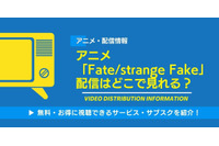 アニメ「Fate/strange Fake」の配信はどこで見れる？無料視聴できるサービス・サブスクを紹介！ 画像