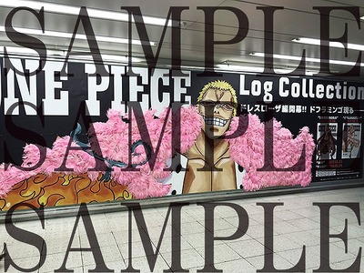 （C）尾田栄一郎／集英社・フジテレビ・東映アニメーション