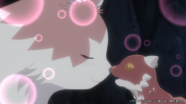 夏アニメ『猫と竜』第1話「猫と竜」先行カット