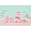 【ディズニー】2026年新コレクションを発表 桜色のプーさんや桜餅を乗せたベイマックスがキュート