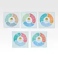 「一番くじ Pokemon 30th ANNIVERSARY vol.2」　I賞：ハンドタオル（選べる全5種）