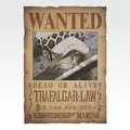 「一番くじ ワンピース -エルバフ編- GIANT BASH!! Vol.2」J賞：手配書GIANTポスター Vol.2（選べる全10種）　