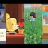 「あつまれ どうぶつの森」サマーシーズン到来！ 6月になり北半球の島で変化した9つの要素・画像